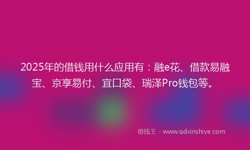 2025年的借钱用什么应用有：融e花、借款易融宝、京享易付、宜口袋、瑞泽Pro钱包等。