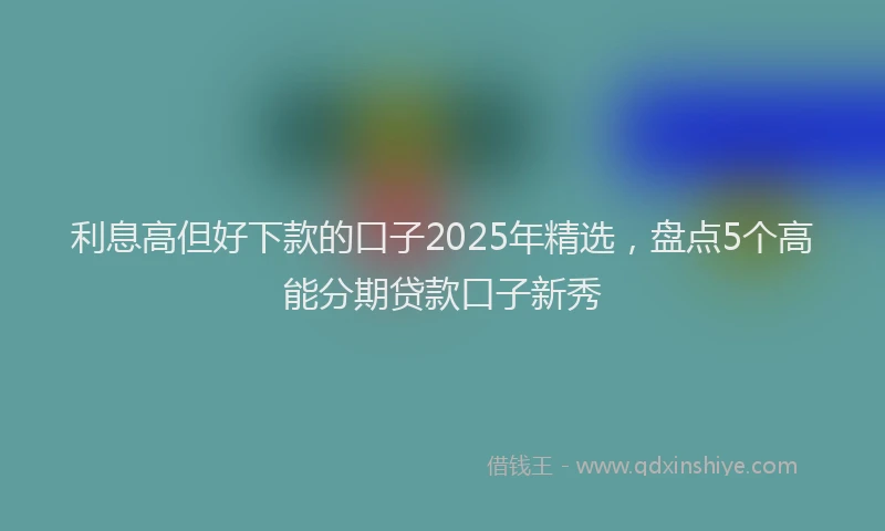 利息高但好下款的口子2025年精选，盘点5个高能分期贷款口子新秀