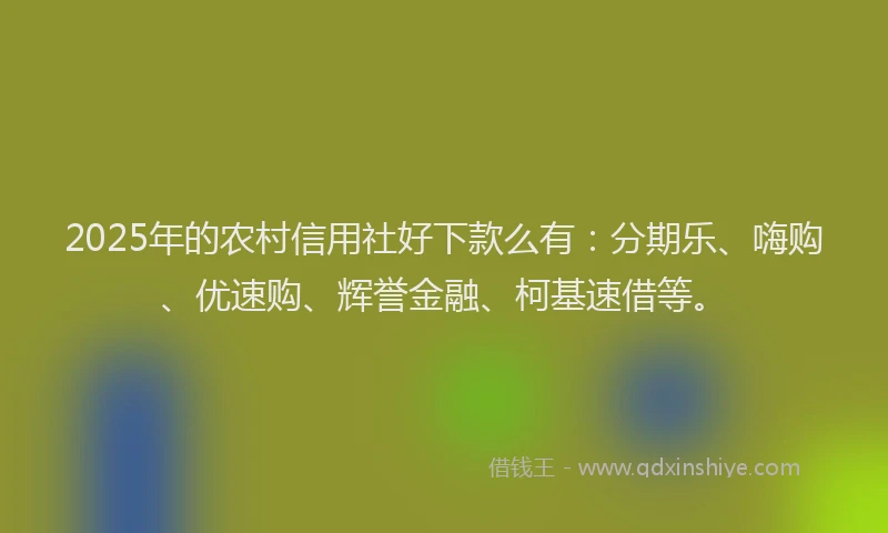 2025年的农村信用社好下款么有：分期乐、嗨购、优速购、辉誉金融、柯基速借等。