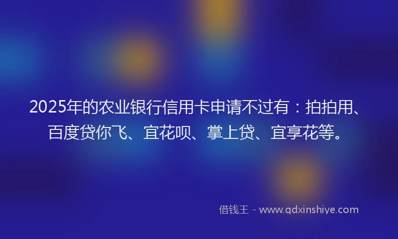2025年的农业银行信用卡申请不过有：拍拍用、百度贷你飞、宜花呗、掌上贷、宜享花等。