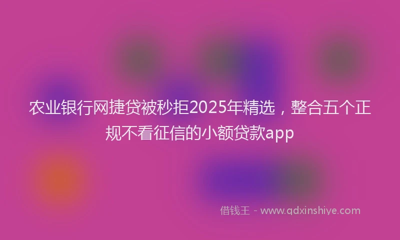 农业银行网捷贷被秒拒2025年精选，整合五个正规不看征信的小额贷款app