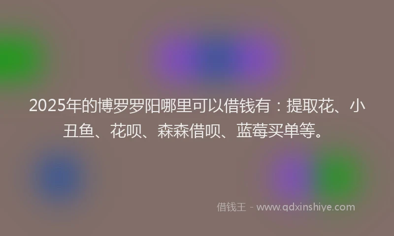 2025年的博罗罗阳哪里可以借钱有：提取花、小丑鱼、花呗、森森借呗、蓝莓买单等。