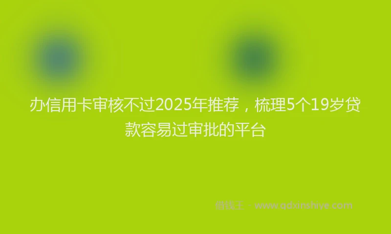 办信用卡审核不过2025年推荐，梳理5个19岁贷款容易过审批的平台