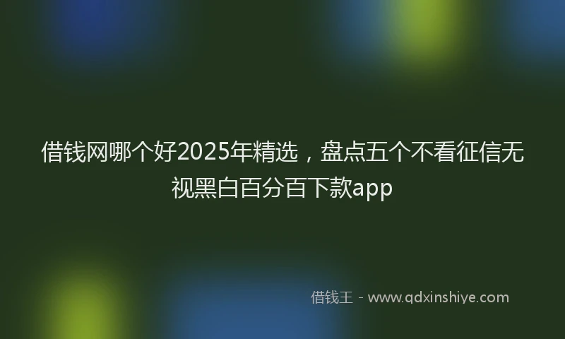 借钱网哪个好2025年精选，盘点五个不看征信无视黑白百分百下款app