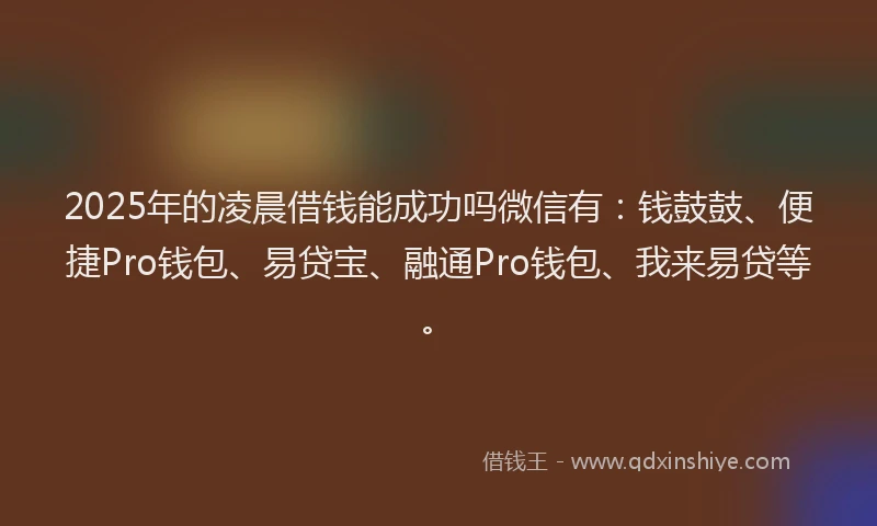 2025年的凌晨借钱能成功吗微信有：钱鼓鼓、便捷Pro钱包、易贷宝、融通Pro钱包、我来易贷等。