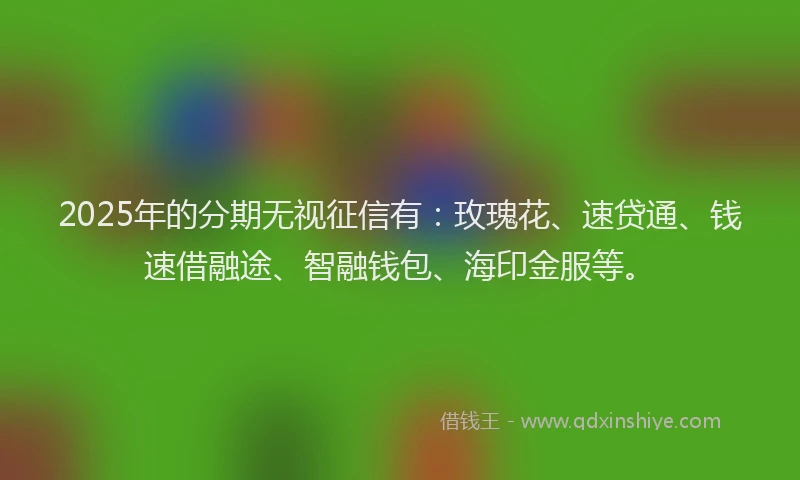 2025年的分期无视征信有：玫瑰花、速贷通、钱速借融途、智融钱包、海印金服等。