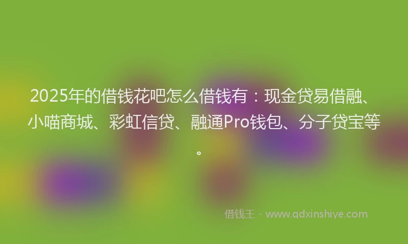 2025年的借钱花吧怎么借钱有：现金贷易借融、小喵商城、彩虹信贷、融通Pro钱包、分子贷宝等。