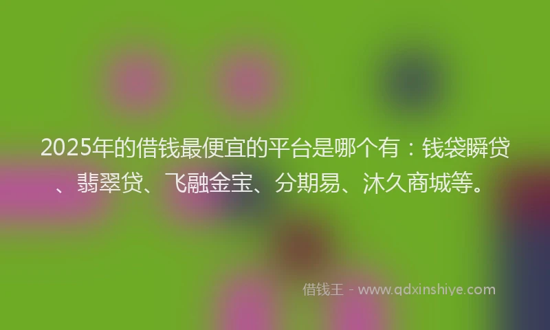 2025年的借钱最便宜的平台是哪个有：钱袋瞬贷、翡翠贷、飞融金宝、分期易、沐久商城等。