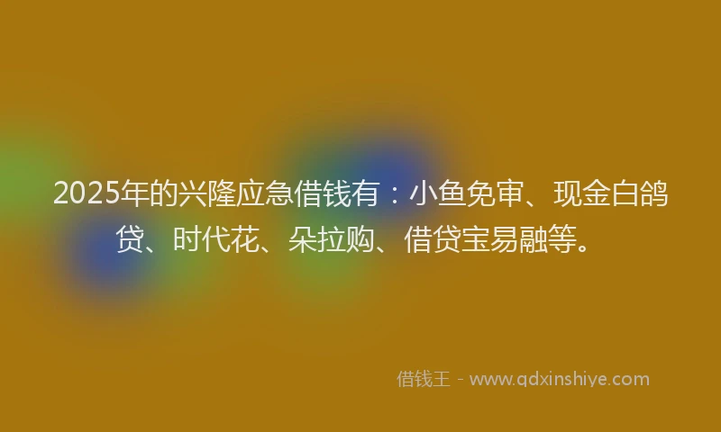 2025年的兴隆应急借钱有：小鱼免审、现金白鸽贷、时代花、朵拉购、借贷宝易融等。