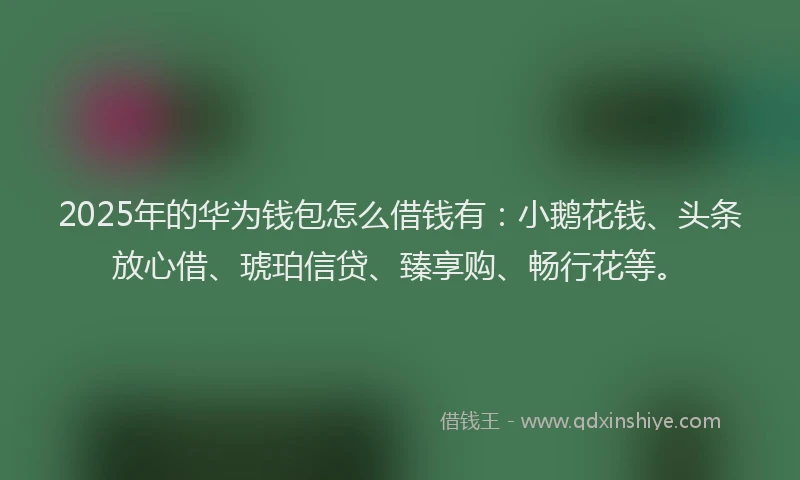 2025年的华为钱包怎么借钱有：小鹅花钱、头条放心借、琥珀信贷、臻享购、畅行花等。