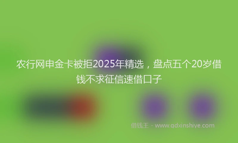 农行网申金卡被拒2025年精选，盘点五个20岁借钱不求征信速借口子