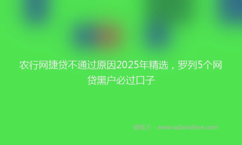 农行网捷贷不通过原因2025年精选，罗列5个网贷黑户必过口子