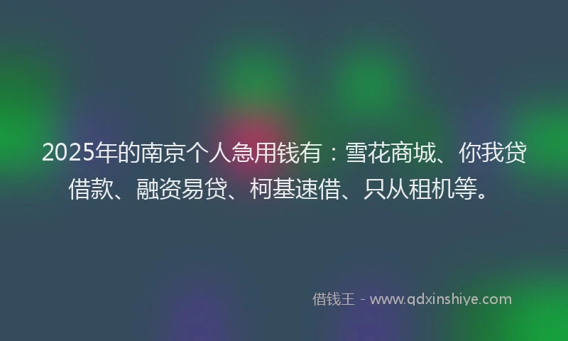 2025年的南京个人急用钱有：雪花商城、你我贷借款、融资易贷、柯基速借、只从租机等。