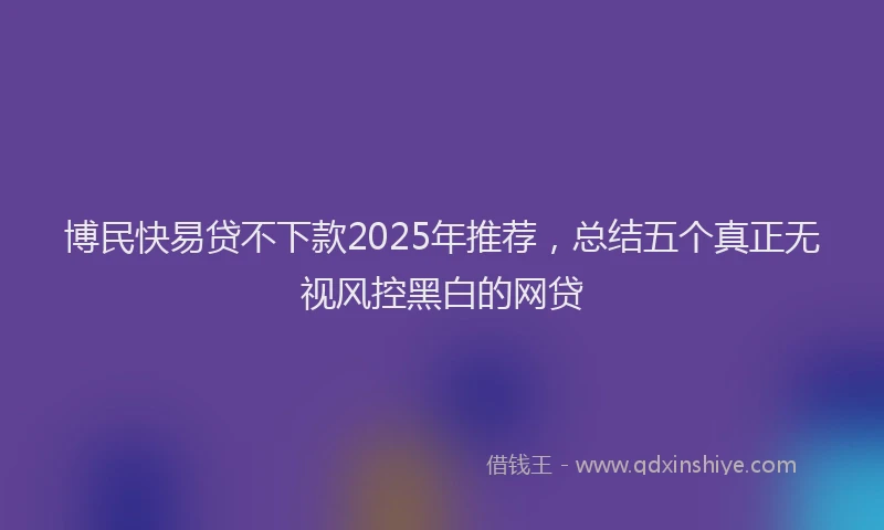 博民快易贷不下款2025年推荐，总结五个真正无视风控黑白的网贷