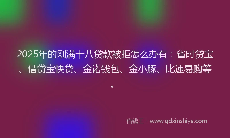 2025年的刚满十八贷款被拒怎么办有：省时贷宝、借贷宝快贷、金诺钱包、金小豚、比速易购等。