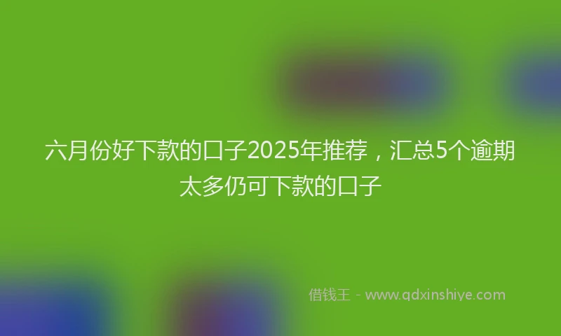 六月份好下款的口子2025年推荐，汇总5个逾期太多仍可下款的口子