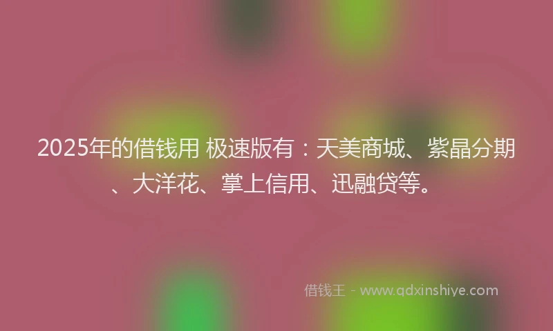 2025年的借钱用 极速版有：天美商城、紫晶分期、大洋花、掌上信用、迅融贷等。