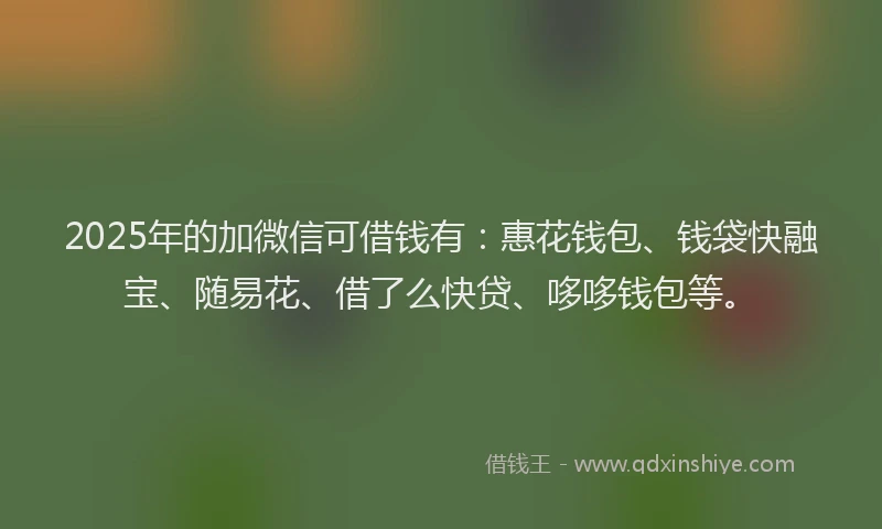 2025年的加微信可借钱有：惠花钱包、钱袋快融宝、随易花、借了么快贷、哆哆钱包等。