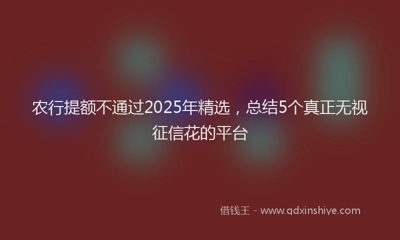 农行提额不通过2025年精选，总结5个真正无视征信花的平台
