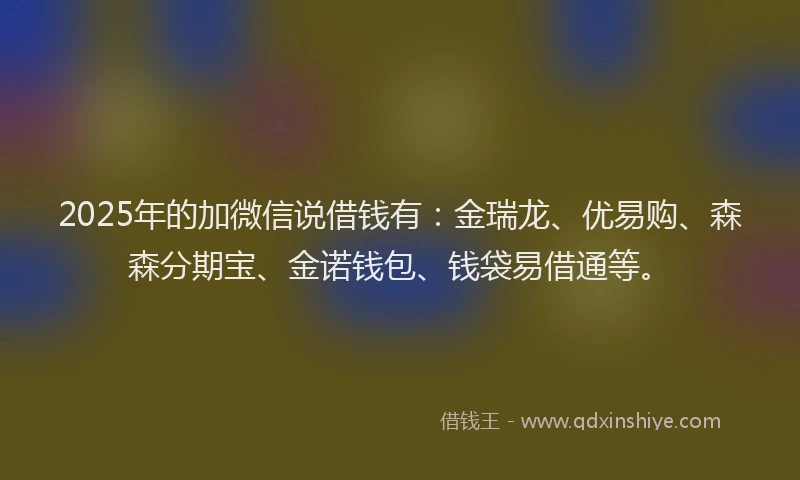 2025年的加微信说借钱有：金瑞龙、优易购、森森分期宝、金诺钱包、钱袋易借通等。