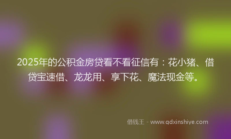 2025年的公积金房贷看不看征信有：花小猪、借贷宝速借、龙龙用、享下花、魔法现金等。