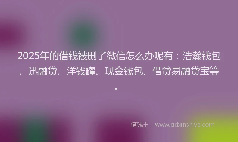 2025年的借钱被删了微信怎么办呢有：浩瀚钱包、迅融贷、洋钱罐、现金钱包、借贷易融贷宝等。