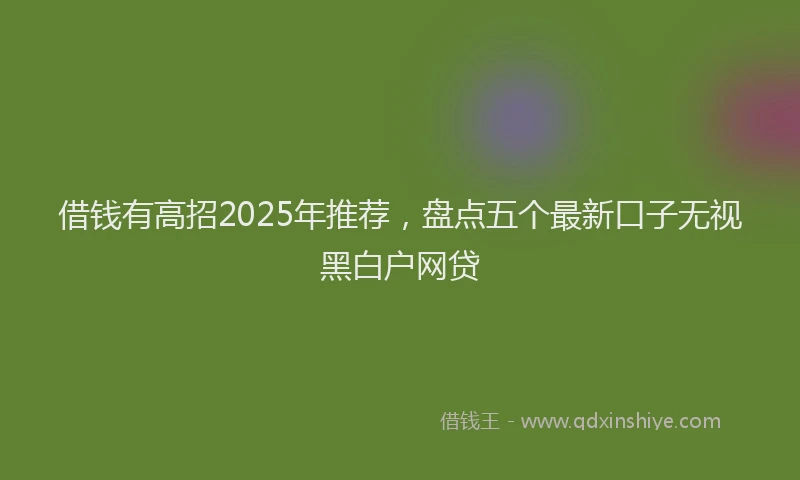 借钱有高招2025年推荐，盘点五个最新口子无视黑白户网贷
