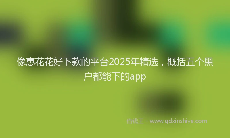 像惠花花好下款的平台2025年精选，概括五个黑户都能下的app