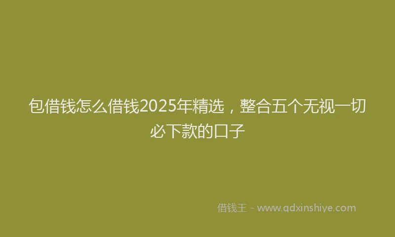包借钱怎么借钱2025年精选，整合五个无视一切必下款的口子
