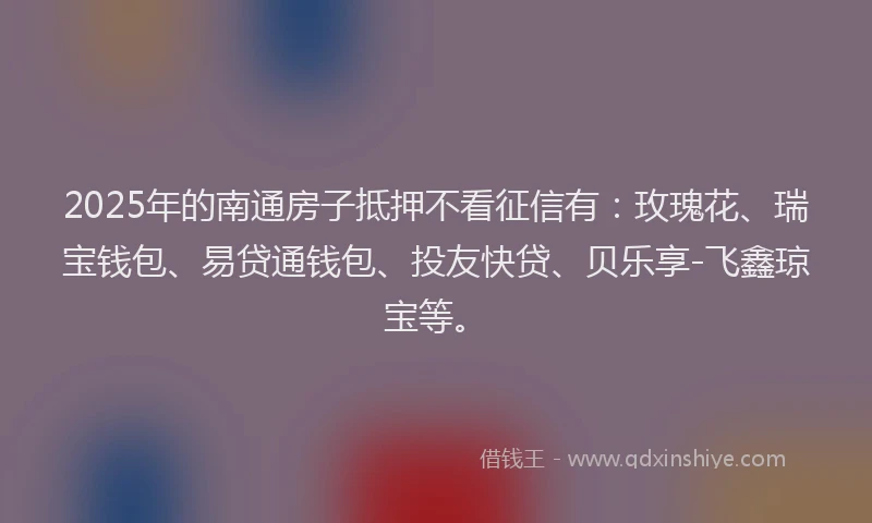 2025年的南通房子抵押不看征信有：玫瑰花、瑞宝钱包、易贷通钱包、投友快贷、贝乐享-飞鑫琼宝等。