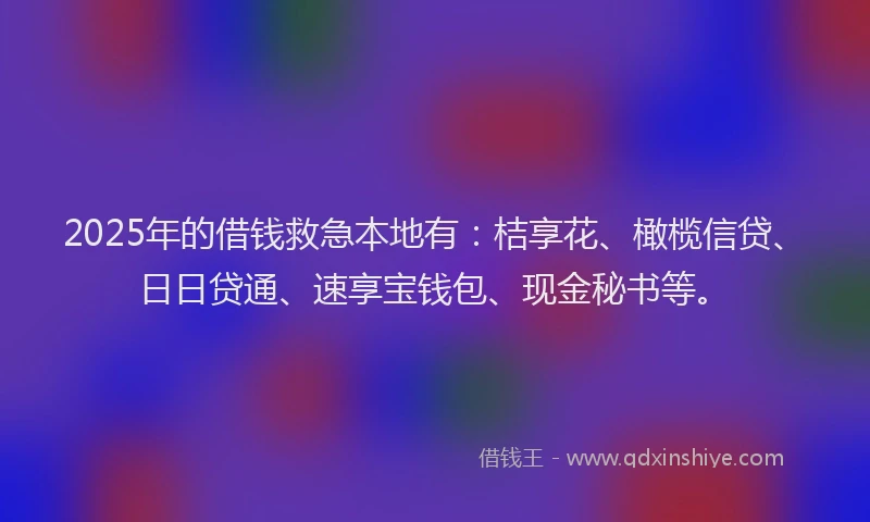 2025年的借钱救急本地有：桔享花、橄榄信贷、日日贷通、速享宝钱包、现金秘书等。