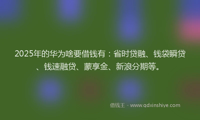 2025年的华为啥要借钱有：省时贷融、钱袋瞬贷、钱速融贷、蒙享金、新浪分期等。