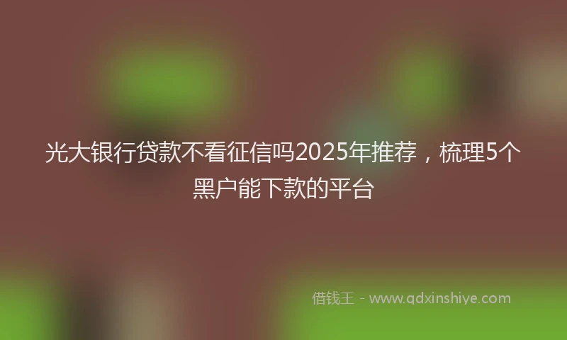 光大银行贷款不看征信吗2025年推荐，梳理5个黑户能下款的平台