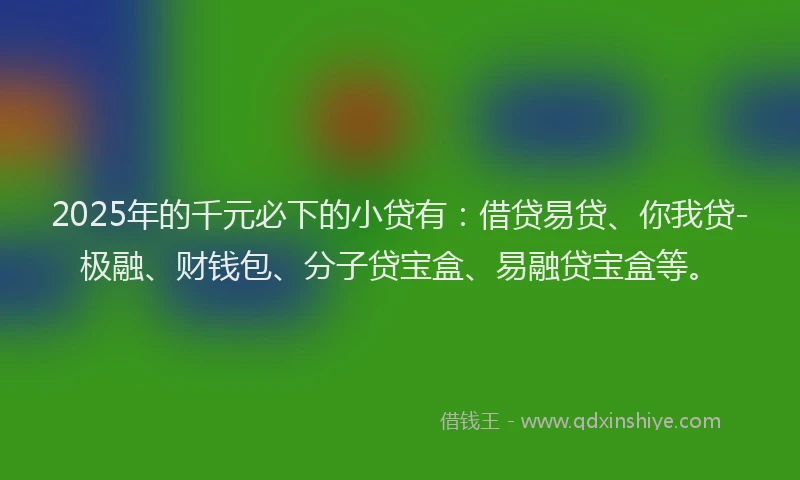 2025年的千元必下的小贷有：借贷易贷、你我贷-极融、财钱包、分子贷宝盒、易融贷宝盒等。
