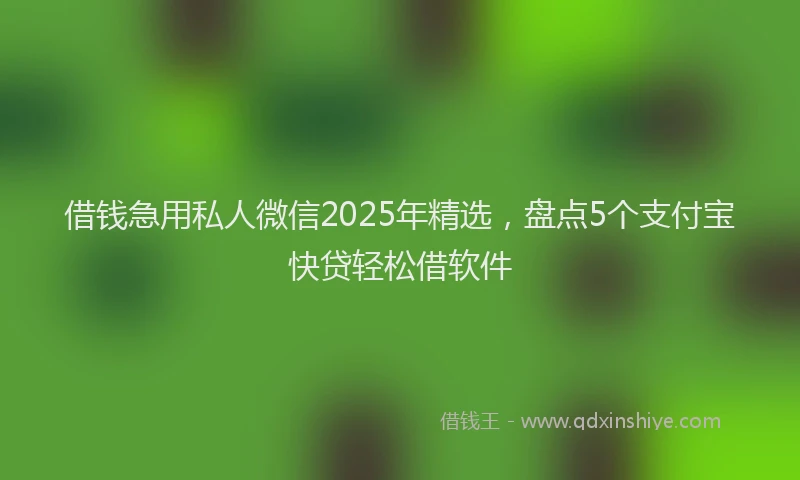 借钱急用私人微信2025年精选，盘点5个支付宝快贷轻松借软件