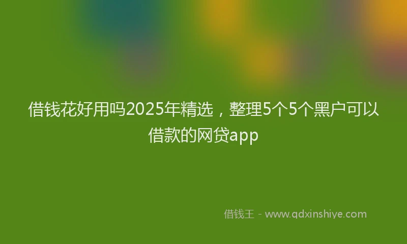 借钱花好用吗2025年精选，整理5个5个黑户可以借款的网贷app