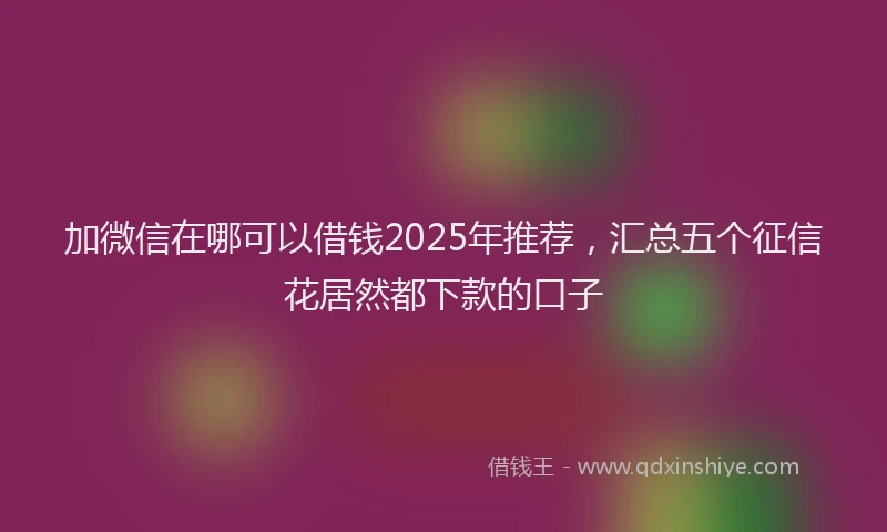 加微信在哪可以借钱2025年推荐，汇总五个征信花居然都下款的口子