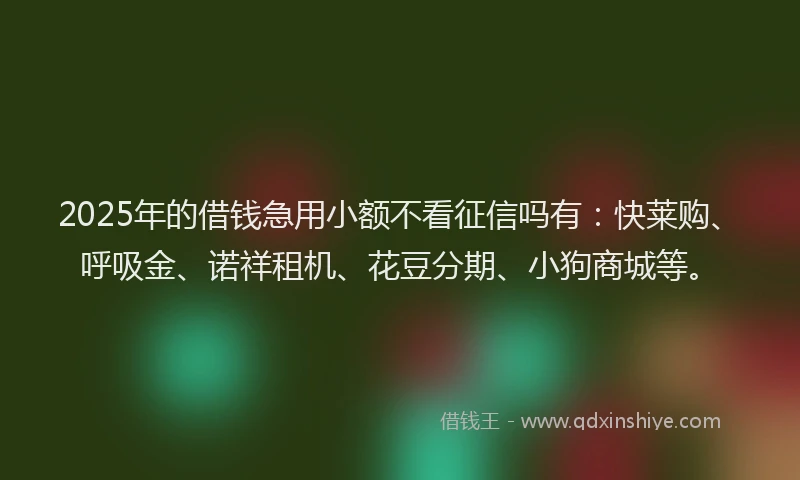 2025年的借钱急用小额不看征信吗有：快莱购、呼吸金、诺祥租机、花豆分期、小狗商城等。