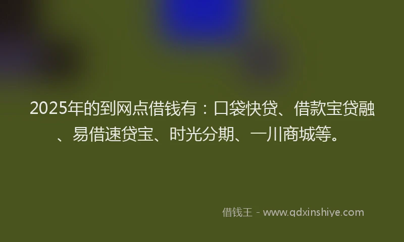 2025年的到网点借钱有：口袋快贷、借款宝贷融、易借速贷宝、时光分期、一川商城等。
