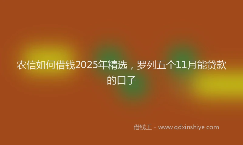 农信如何借钱2025年精选，罗列五个11月能贷款的口子