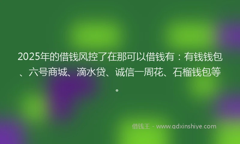 2025年的借钱风控了在那可以借钱有：有钱钱包、六号商城、滴水贷、诚信一周花、石榴钱包等。