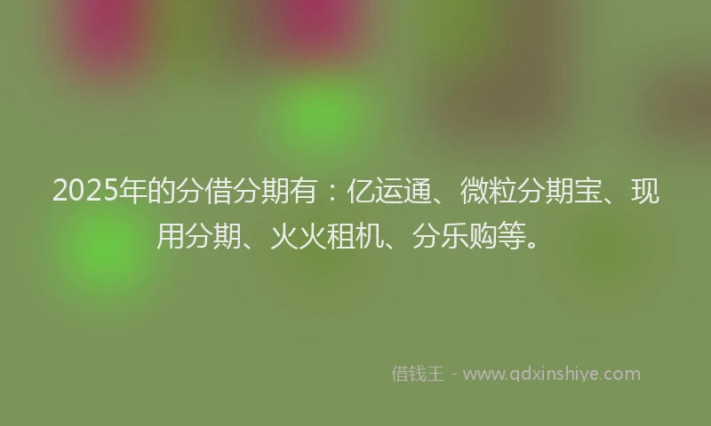 2025年的分借分期有：亿运通、微粒分期宝、现用分期、火火租机、分乐购等。