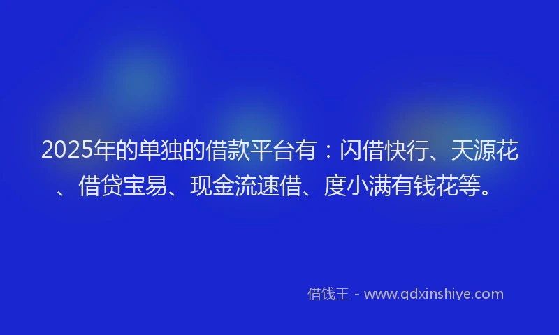 2025年的单独的借款平台有：闪借快行、天源花、借贷宝易、现金流速借、度小满有钱花等。