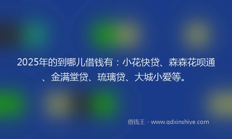 2025年的到哪儿借钱有：小花快贷、森森花呗通、金满堂贷、琉璃贷、大城小爱等。