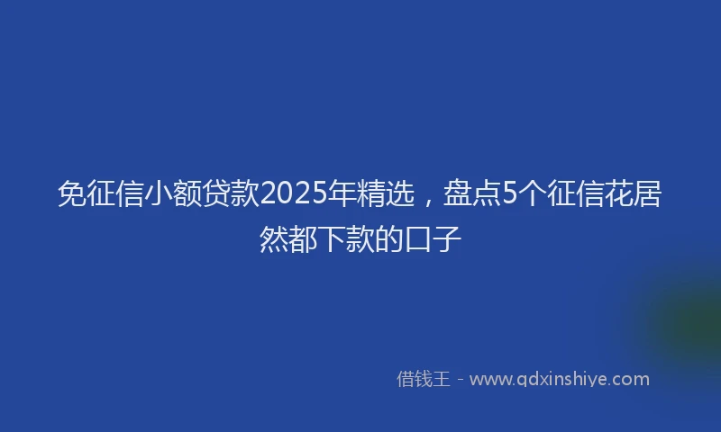 免征信小额贷款2025年精选，盘点5个征信花居然都下款的口子