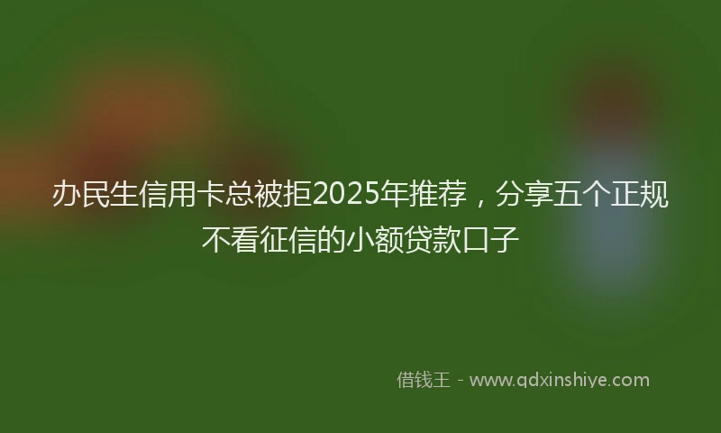 办民生信用卡总被拒2025年推荐，分享五个正规不看征信的小额贷款口子