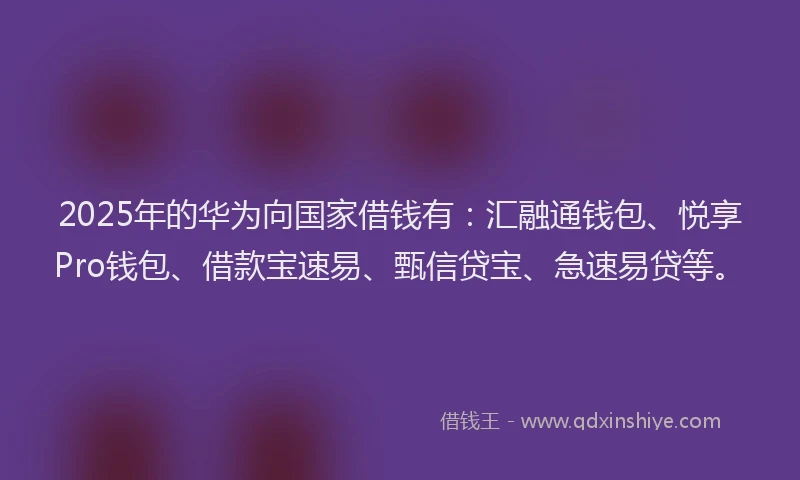 2025年的华为向国家借钱有：汇融通钱包、悦享Pro钱包、借款宝速易、甄信贷宝、急速易贷等。