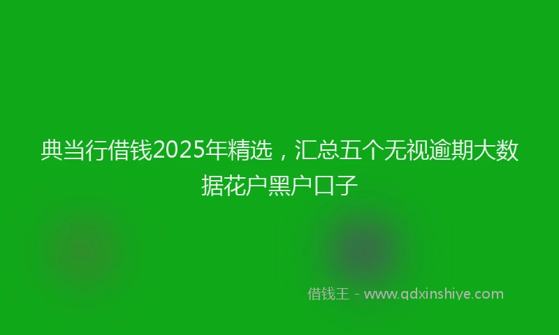 典当行借钱2025年精选，汇总五个无视逾期大数据花户黑户口子