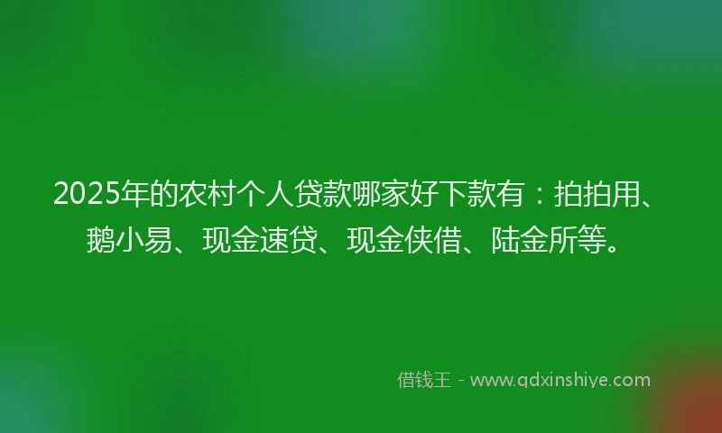 2025年的农村个人贷款哪家好下款有：拍拍用、鹅小易、现金速贷、现金侠借、陆金所等。
