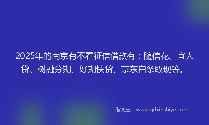 2025年的南京有不看征信借款有：随信花、宜人贷、树融分期、好期快贷、京东白条取现等。